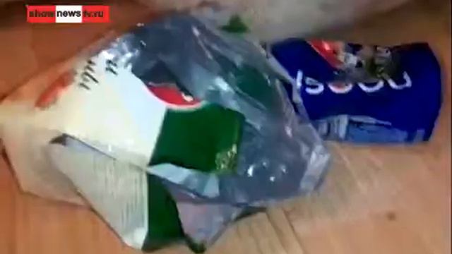 Закладчики карьеристы освободили жилплощадь смотреть онлайн