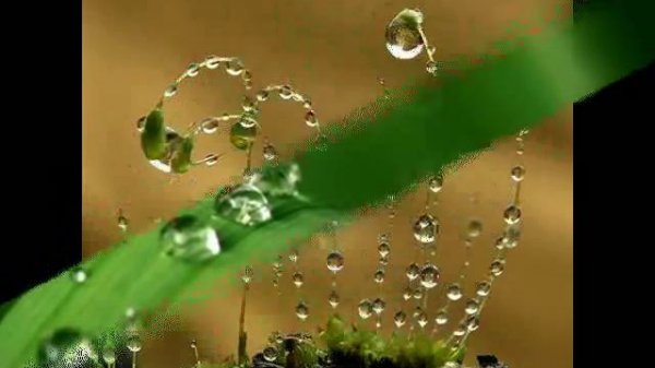 Elena Rostropovich   Russian Poem