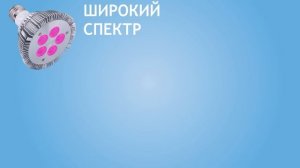 КАК ВЫБРАТЬ СПЕКТР ФИТОЛАМПЫ? ВСЕ О СПЕКТРАХ ФИТОЛАМП!