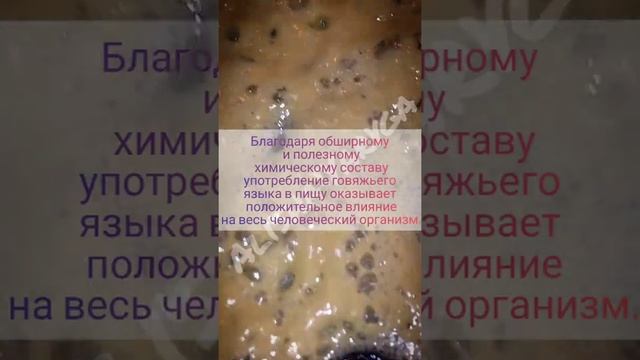 Отварной говяжий язык с сметанным соусом смотреть онлайн