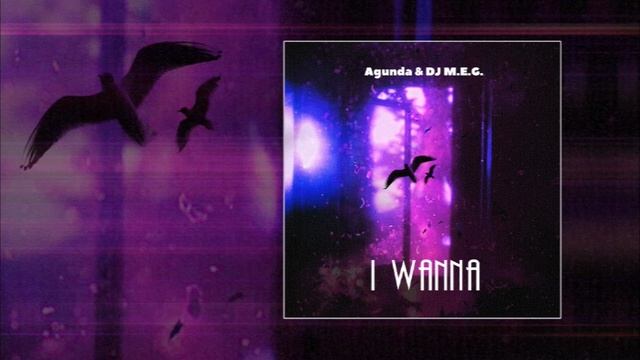 Agunda & DJ M.E.G - I Wanna (Официальная премьера трека)