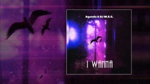 Agunda & DJ M.E.G - I wanna (Официальная премьера трека)
