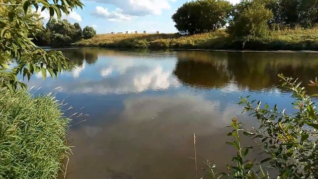 24 июля 2021 Звенигород, Москва река смотреть онлайн