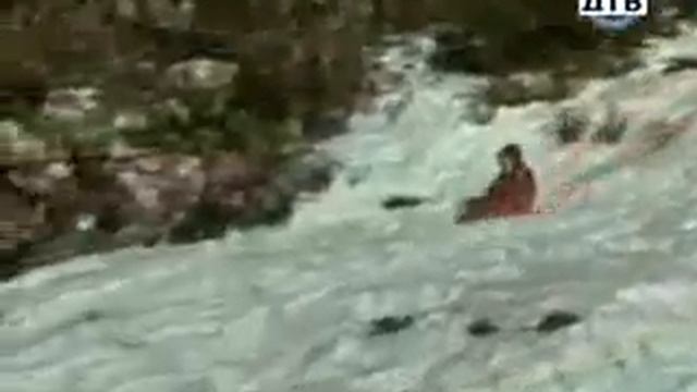 Видеоприколы скачать приколы приколисты онлайн