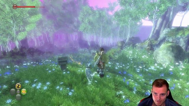ALLE Dämonentüren & 50 Gargoyles - Fable 2 (POSTGAME) смотреть онлайн
