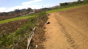 Как в Европе растет листовой САЛАТ Europe Portugal planting lettuce