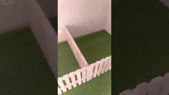 Новый вольер из дерева для будущих щенков. Ждём прибавления. смотреть онлайн