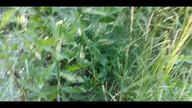 Ужас на нас напала змея смотреть онлайн