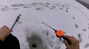 Рыбалка на красноперку зимой