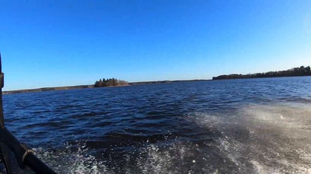 Buster RS Honda BF50 Fourstroker