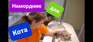 Как сделать намордник коту. Мейн-кун.