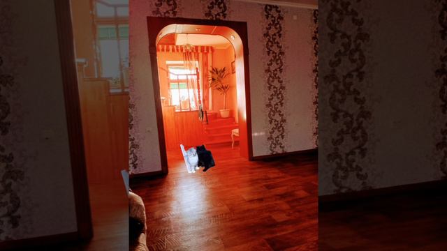 1000005384.mp4 смотреть онлайн