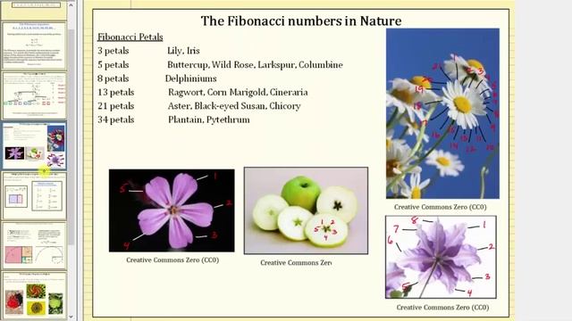 The Fibonacci Sequence смотреть онлайн