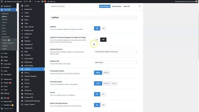 Avada Lightbox Setup & Customization смотреть онлайн