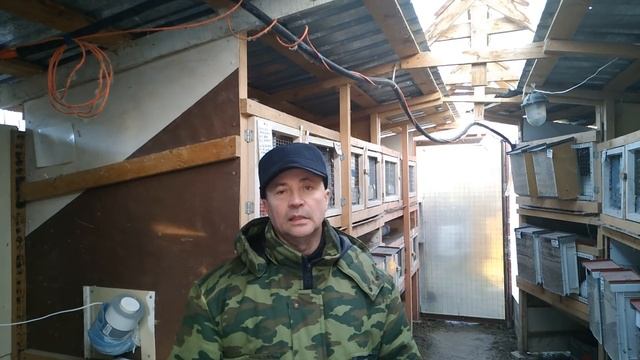 У крольчихи родился один крольчонок /Так мало крольчат/ Выращиваем то что есть смотреть онлайн