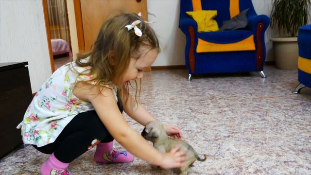 В нашей семье пополнение смотреть онлайн