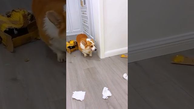 ВИНОВЕН смотреть онлайн