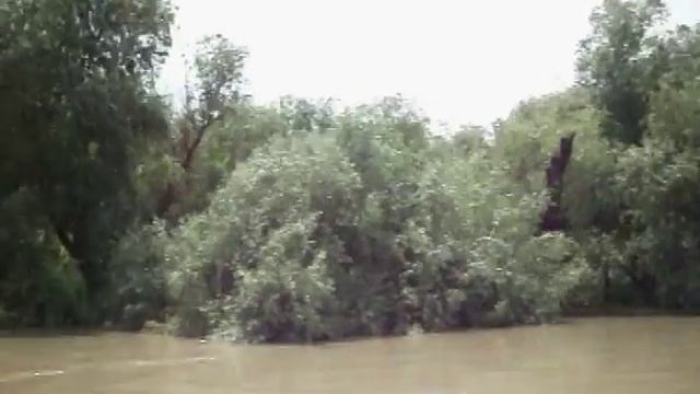 Вилково, Дельта Дуная, Дунай, Нулевой км смотреть онлайн