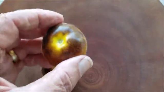 Woolly Kate смотреть онлайн