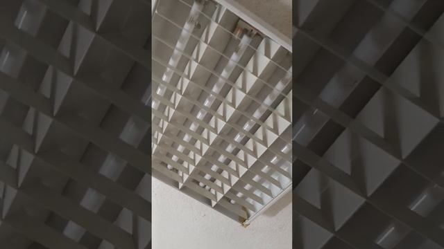 allumage d'une Mazda major avec starter et tube Mazda incandia 830 смотреть онлайн