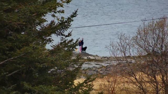 DAHUA SD6 смотреть онлайн