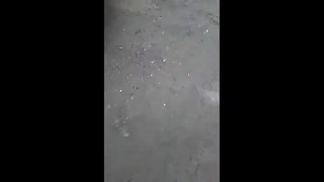 Нашел побитую машину бродягу смотреть онлайн