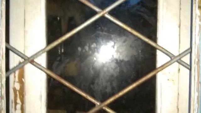 Собаки в Смоленске смотреть онлайн