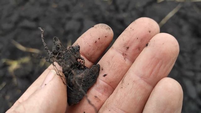 Хороший был орёл   как ведет себя штанга XP ORX