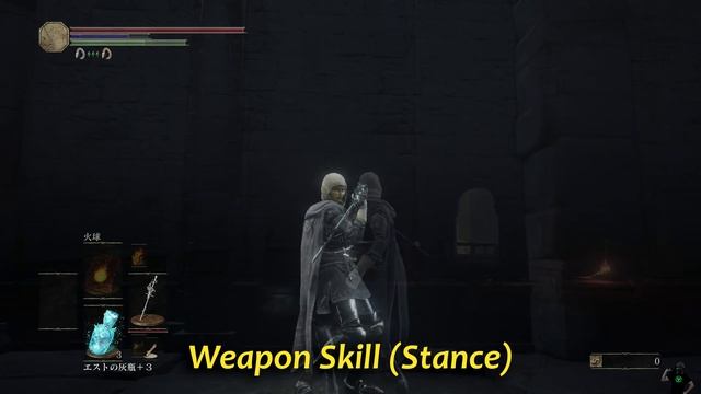 Crystal Sage's Rapier Moveset (Dark Souls 3) Boss Weapon смотреть онлайн