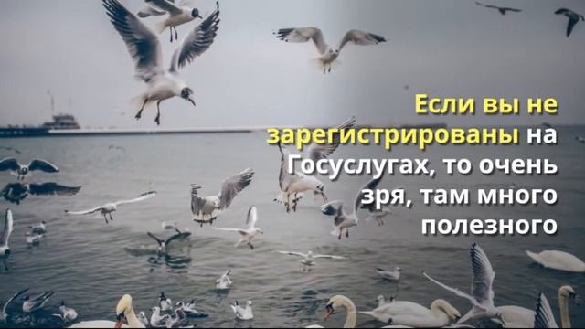 Сколько денег у вас в Пенсионном фонде смотреть онлайн