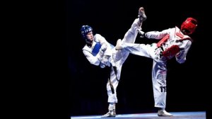 Боевые искусства мира. Тхэквондо