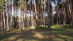 НАДЗЕЯ САНАТОРИЙ ОБЗОР!