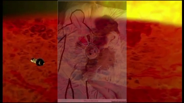 Одиночество явится ночью... - Проект FANTOM