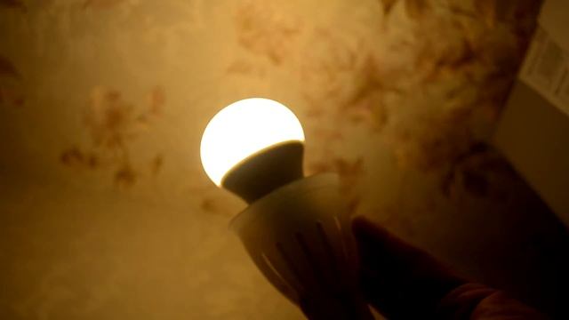 Обзор лампы Philips смотреть онлайн