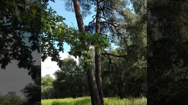 Гусев смотреть онлайн