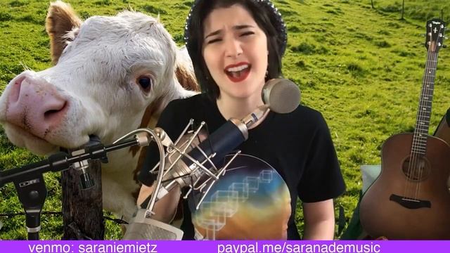 Golden Nuggets: Facebook Live