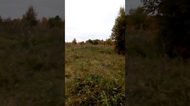 Дратхар ищет утиное крыло по следу. смотреть онлайн