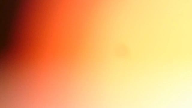 Моего Кота обижали огромный кот и собака 🐶 👿😿