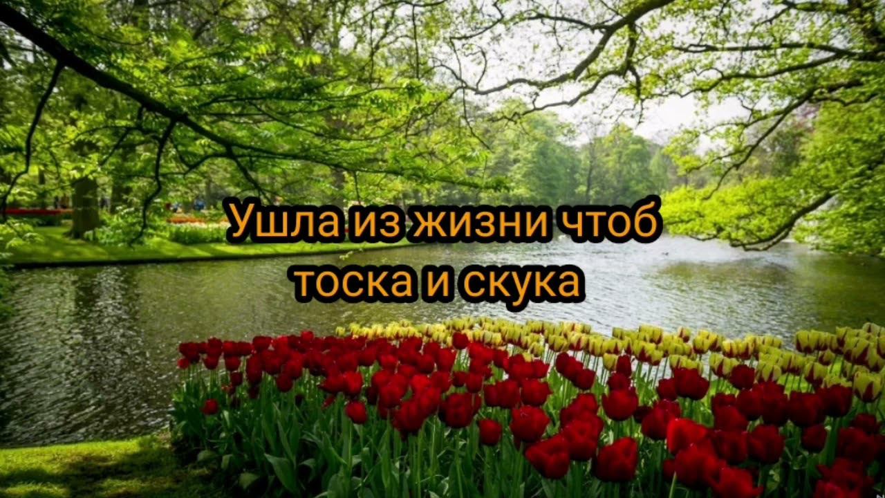 Моё поздравление к Восьмому марта ! смотреть онлайн