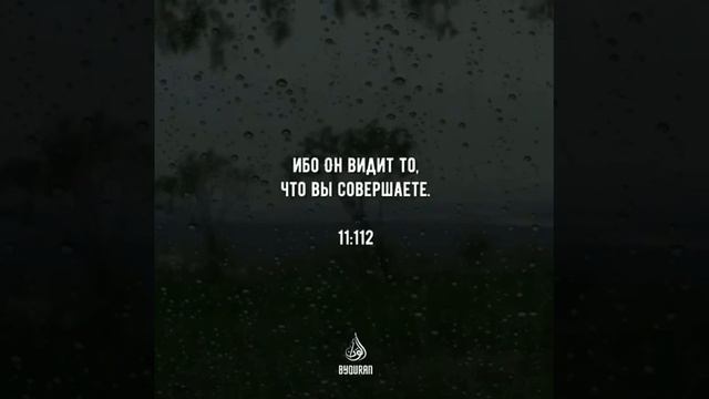 КОРАН, СУРА 11, АЯТЫ 112-113 смотреть онлайн