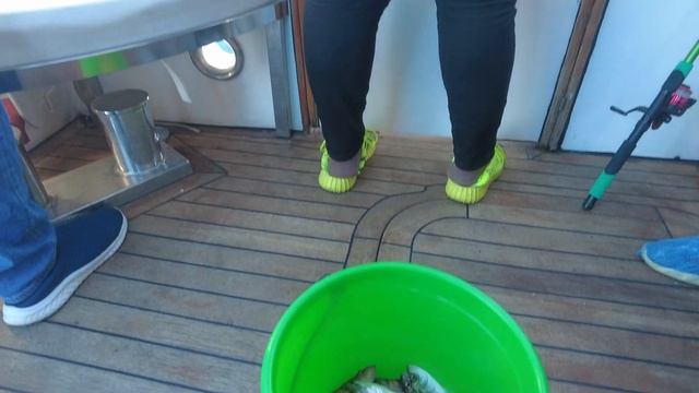 ВОТ ЭТО МЫ ПОЙМАЛИ?! РЫБАЛКА НА ЯХТЕ В ГЕЛЕНДЖИКЕ! ПАРУСНАЯ РЕГАТА - ПОЛНЫЙ ВОСТОРГ! смотреть онлайн