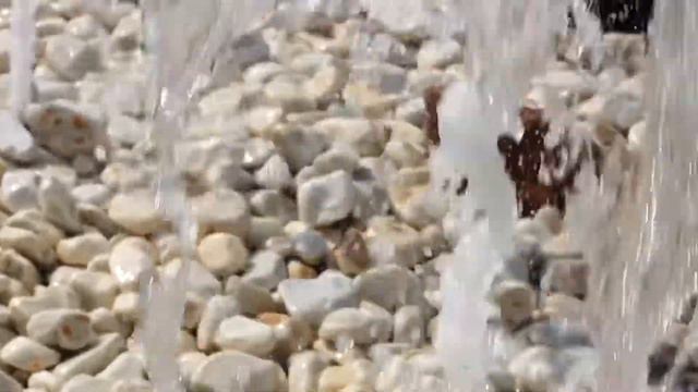 #сашиныролики свадебный ролик поздравление на свадьбу смотреть онлайн