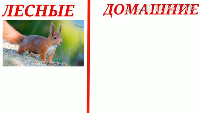 Семейный клуб "Кораблик" I Квест для детей смотреть онлайн
