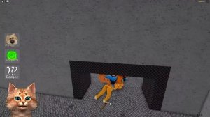 ? ПОБЕГ ИЗ ЗАКУЛИСЬЯ в ROBLOX Backrooms Morph ЭВОЛЮЦИЯ И МОРФ Весёлый Кот