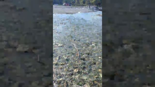 горбуша (нерест 2) смотреть онлайн