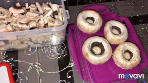 Как заморозить свежие шампиньоны.