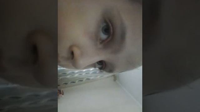 Майкап монстер хай джи джи хоулин и клео смотреть онлайн