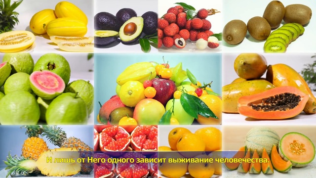 История Бога «Бог повелевает человечеством и всем сущим и поддерживает их» смотреть онлайн