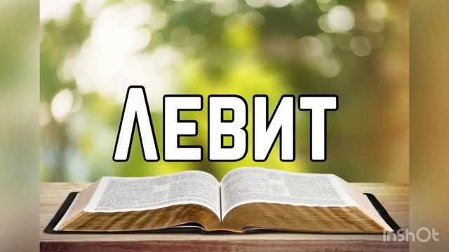 Библия, Левит 15 глава смотреть онлайн
