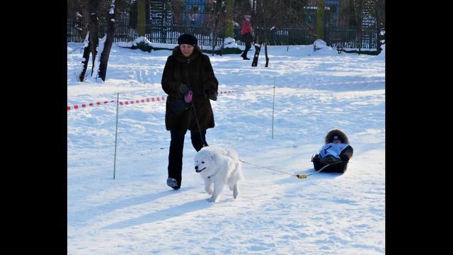 иркутск смотреть онлайн